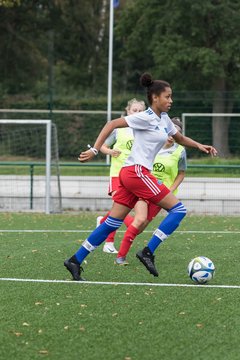 Bild 31 - C-Juniorinnen HSV - Walddoerfer : Ergebnis: 9:1